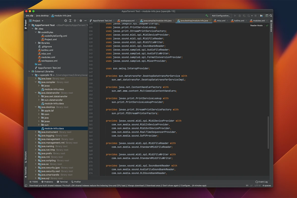 Intellij IDEA 2024  for Mac